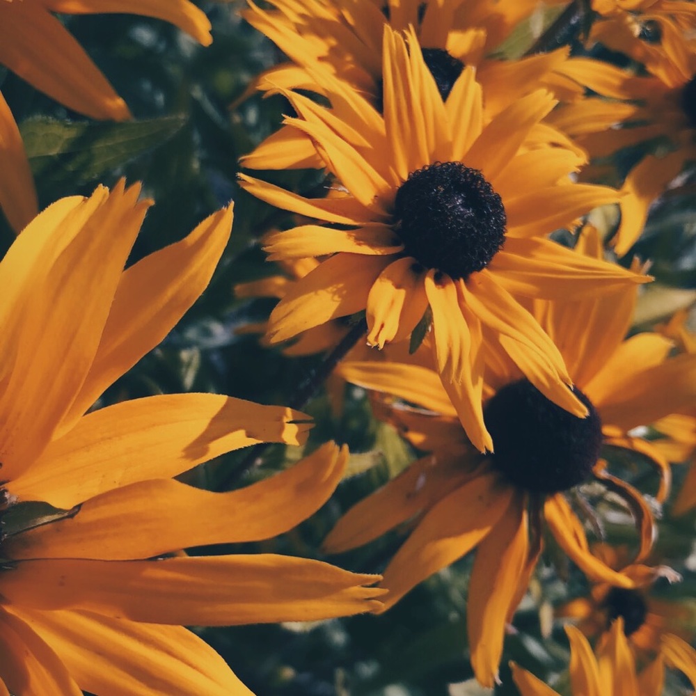 Meet your Posher, Kennedy